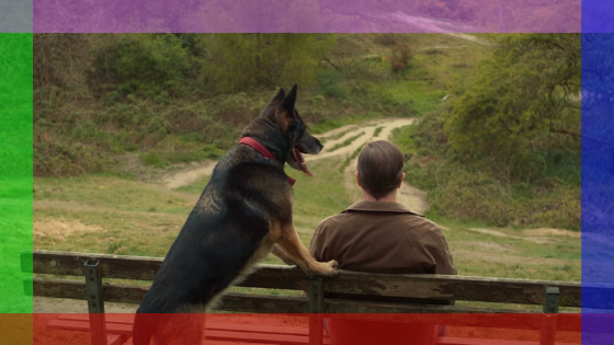 Full Length Trailer For After Life Season 3 Released | ScreenHeads